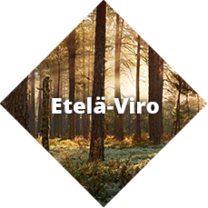 Etelä-Viro leirikoulukohteena